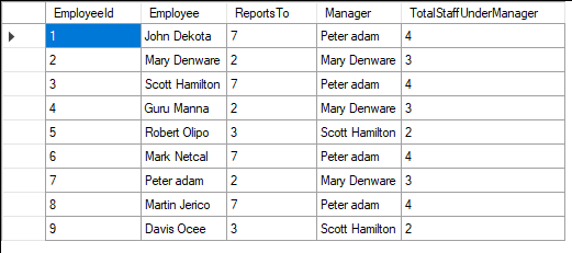 Subquery and Self Join Example result